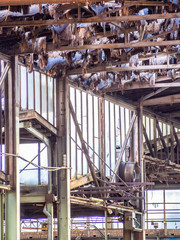 Geb&auml;udesch&auml;den Industrie