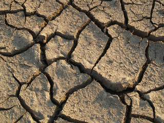 Dehydration