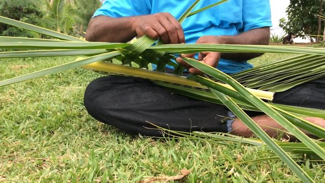 Fijian man create a basket from weaving a Coconut Palm leaves