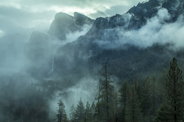 Portal View Yosemite National Park