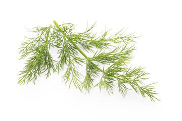 Fresh dill on the white background.