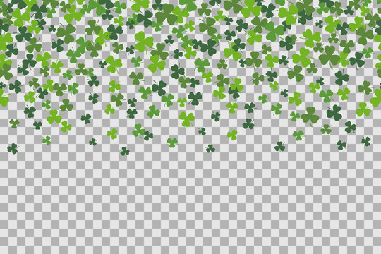 Seamless pattern with clover leafs for St Patricks Day celebration on transparent background.