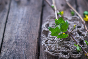 Spring branch with leaves on the wooden background with knitted