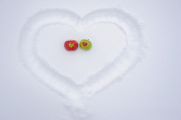 apple on the snow