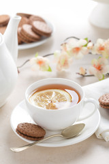 Cup of lemon tea on white background