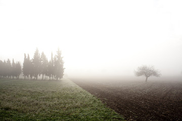 foggy day