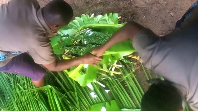 Time lapse of Fijian men preparing Fijian food Lovo in Fiji