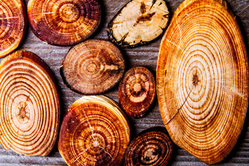 Treated pine logs with different color stain / Pine logs / Many uses for outdoor structures like...