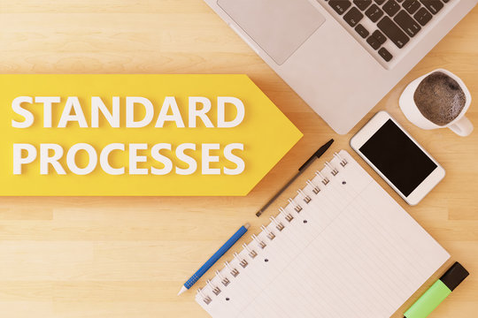 Standard Processes
