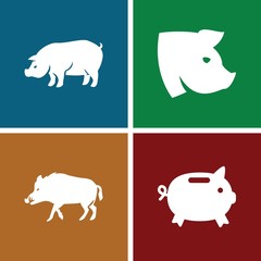 Set of 4 pig filled icons