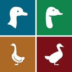 Set of 4 goose filled icons
