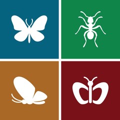 Fototapeta na wymiar Set of 4 butterfly filled icons