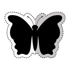 butterfly silhouette isolated icon vector illustration design