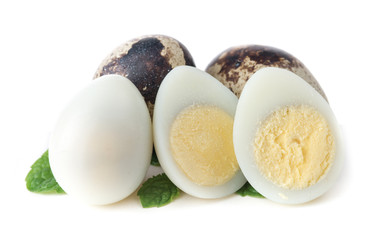 boiled quail eggs on white background