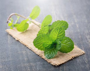 Pepper mint leaves on wood background