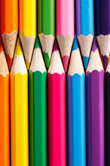 Row of the vertical Color pencils close up