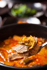 ugeoji tang. spicy Cabbage soup.