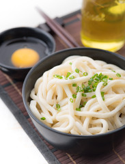 Japanese food, Udon Noodles