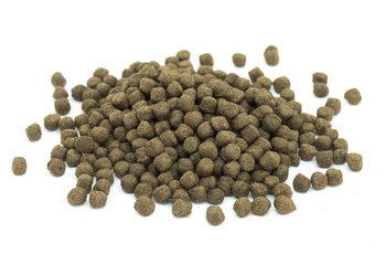 fish feeding food isolated on white background