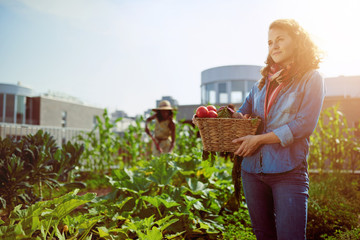 Friendly woman harvesting fresh vegetables from the rooftop greenhouse garden