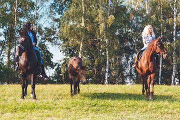 Two female equestrians with purebred brown horses and foal between them