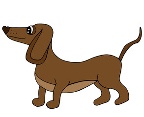 Cute dog isolated on the white background