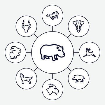 Set of 9 mammal outline icons