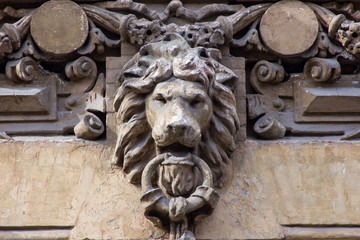  architecture detail on the wall of building with lion's head
