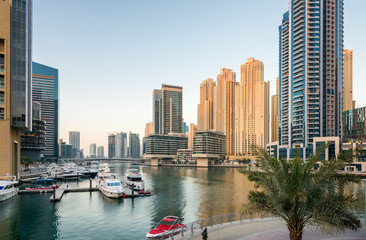 Fototapeta na wymiar Morning in Dubai Marina