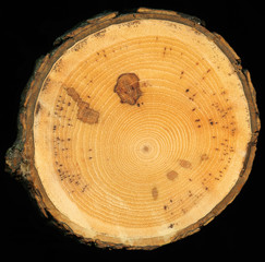 slab of wood