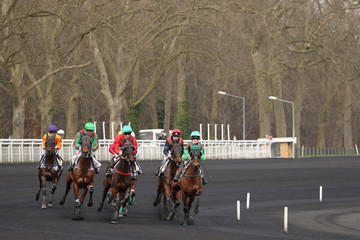 cheval de courses