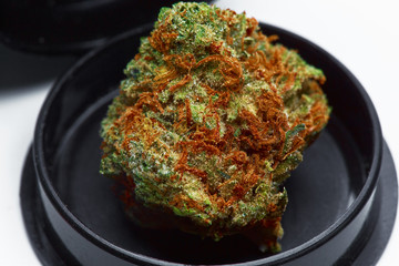Close up of prescription medical marijuana bud