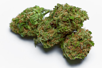 Close up of prescription medical marijuana bud