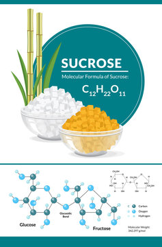 Vector illustration. Structural chemical formula and model of sucrose. White and brown sugar cubes in bowls