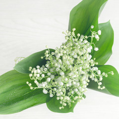 Lily of  valley on white wooden table, top view