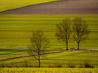 Ackerbau im Winter