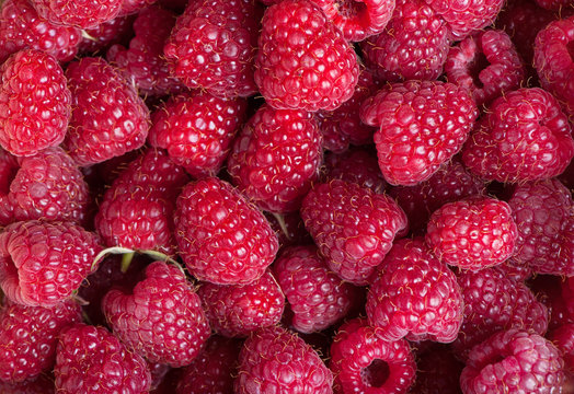 Delicious fresh raspberries