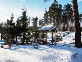 gazebo in the woods 