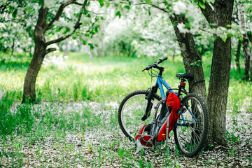 Fototapeta na wymiar Blue bicycle stands at the blooming apple tree