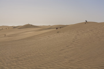 Fototapeta na wymiar Gran Canaria dunes - Maspalomas sand desert landscape. 