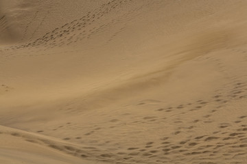 Gran Canaria dunes - Maspalomas sand desert landscape. 