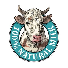 Cows head. 100 % Natural Milk. Vintage vector engraving