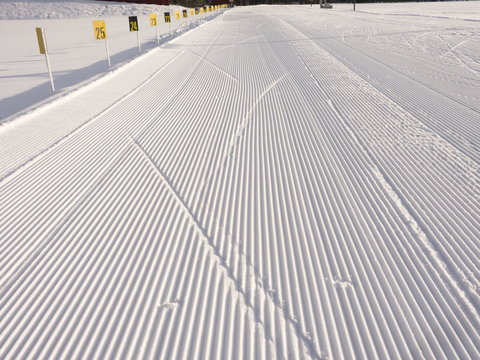 Biathlon arena