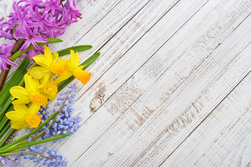 Spring flowers - hyacinth and narcissus