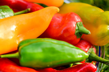 Summer harvest. Freshly picked, red, green and yellow sweet peppers, laying in grass in garden. Healthy eating, fresh food, vegetables, vitamins, diet, fitness. Making fresh salads for dinner. Tasty 