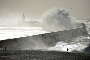Waves