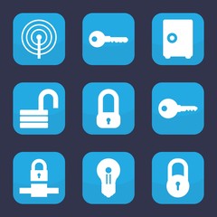 Set of 9 filled password icons