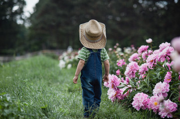 little farmer boy near pink peonies