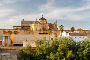 Obraz premium Cordoba. Cathedral. Mesquita.