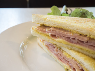 Sandwich ham cheese on white plate